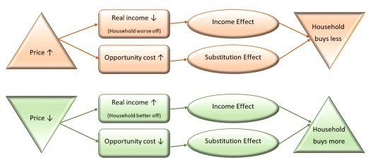 Income and substitution effects